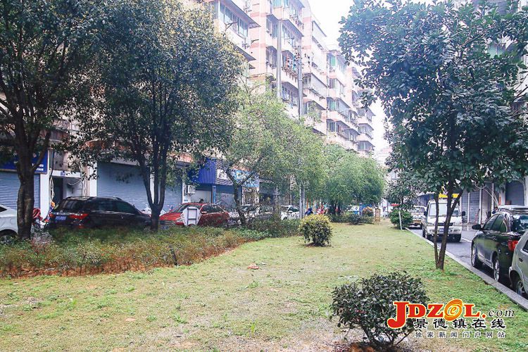 [双创双修]新厂街道樟树下小区现场见闻