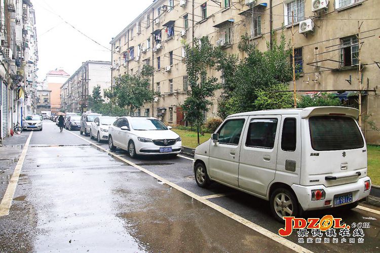 [双创双修]新厂街道樟树下小区现场见闻