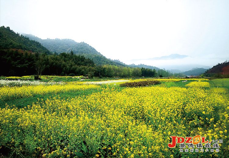 [双创双修]浮梁县：魅力新臧湾美丽新家园