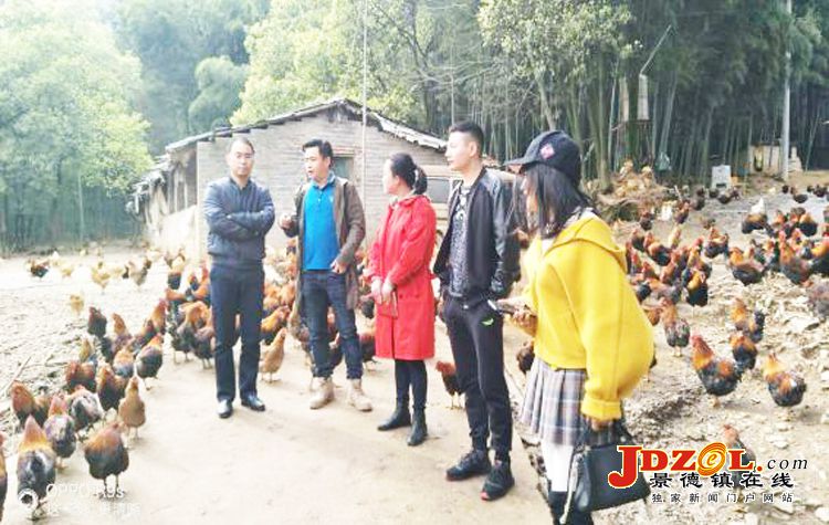 昌江区领导深入鲇鱼山镇调研脱贫攻坚工作