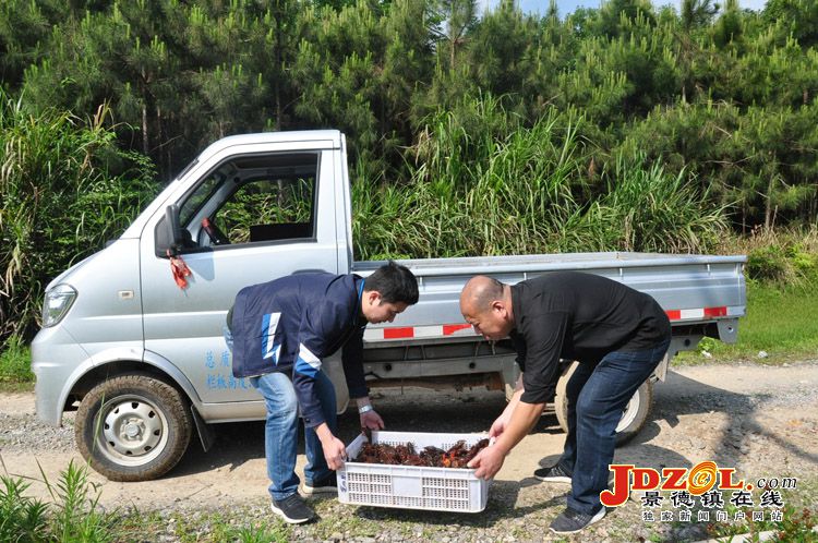 乐平市上下正凝心聚力打好精准脱贫攻坚战