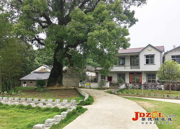 [双创双修]激活森林资源，展旅游休闲经济