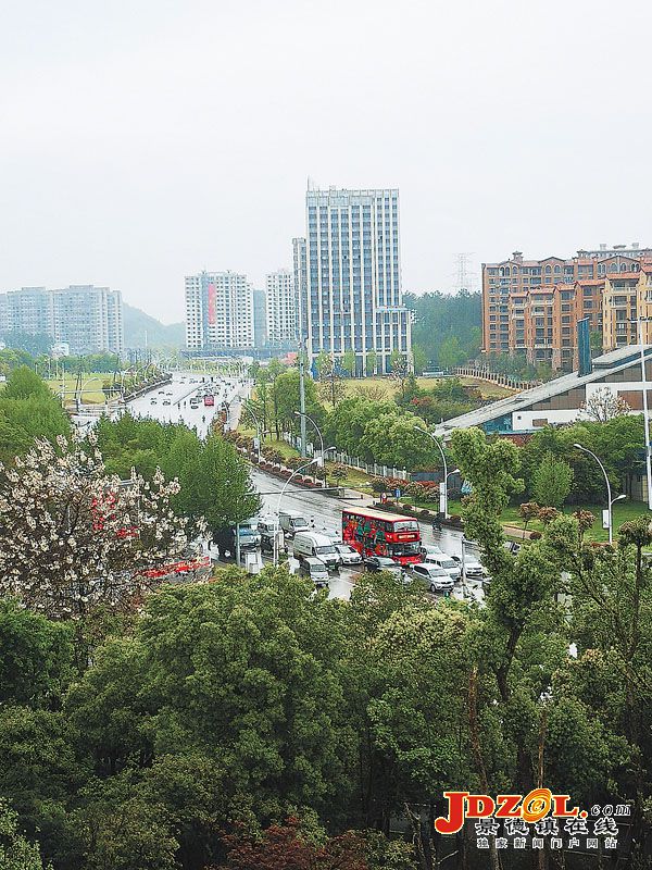 [双创双修]景德镇市道路绿化提升工作掠影
