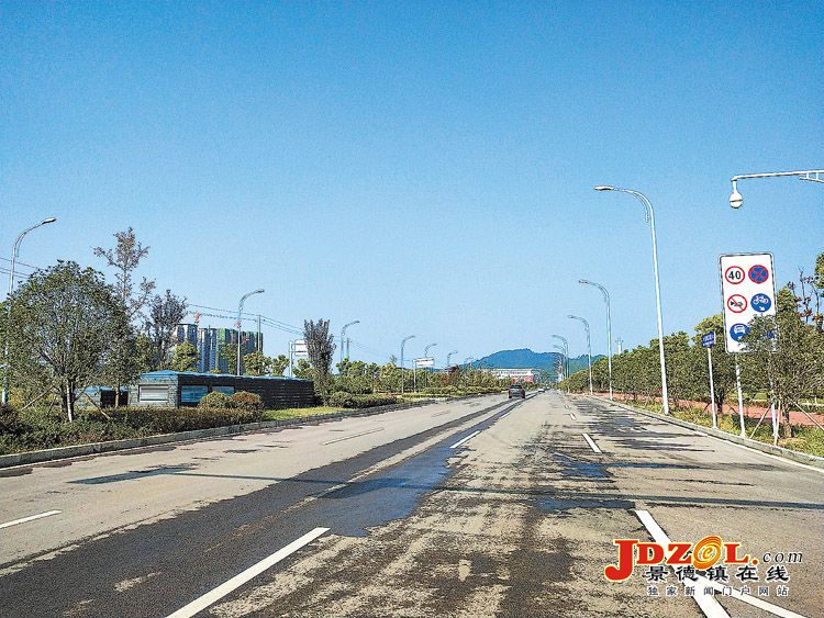 [双创双修]景德镇市道路绿化提升工作掠影