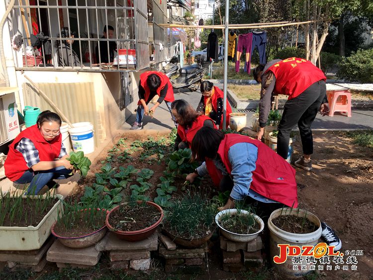 林荫路社区：全民参与推进