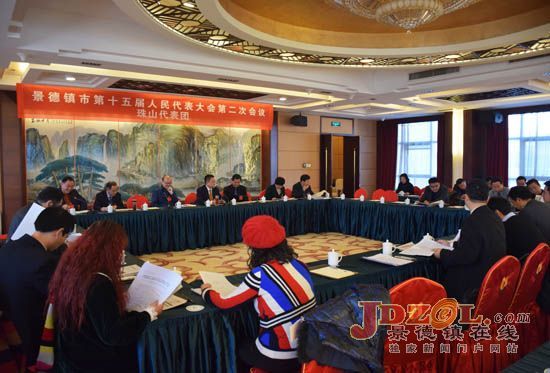 史文斌参加景德镇市珠山区代表团分组讨论