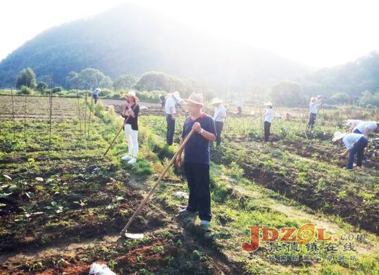 景德镇昌江区荷塘乡杨湾村扶贫农